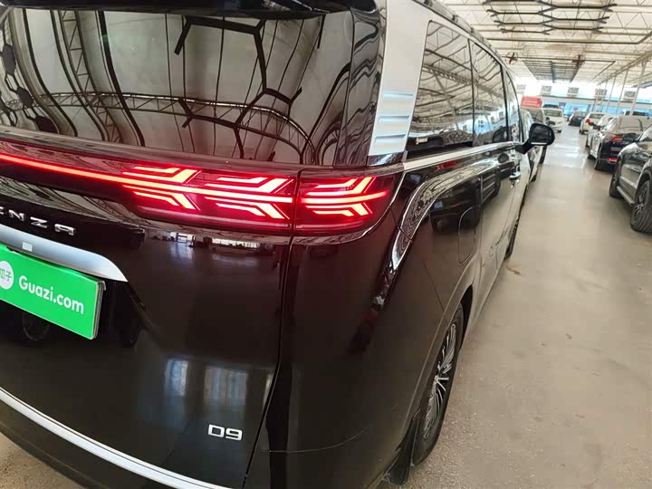 Фото 8 - Denza D9