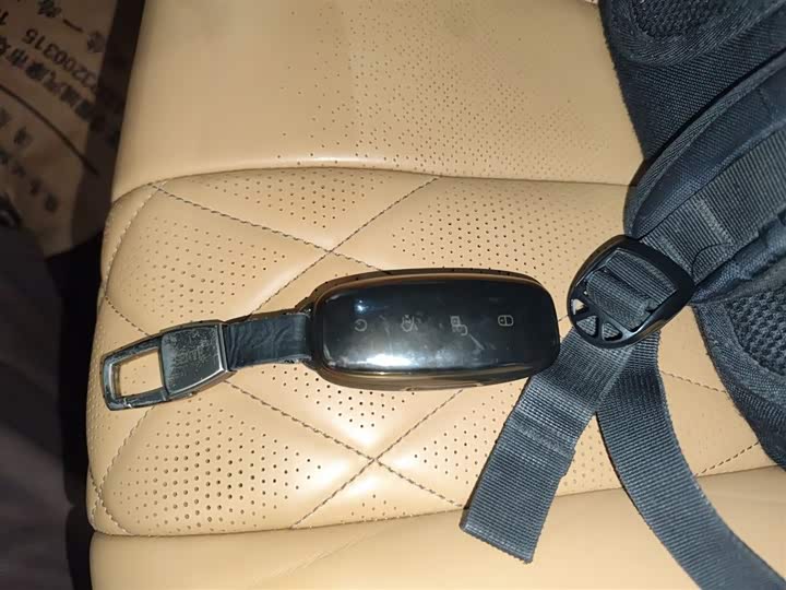 Фото 9 - Denza D9