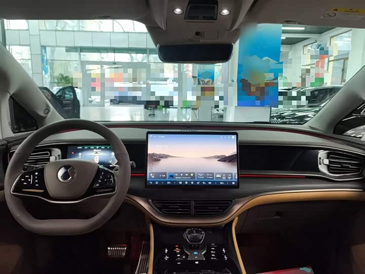 Фото 10 - Denza D9