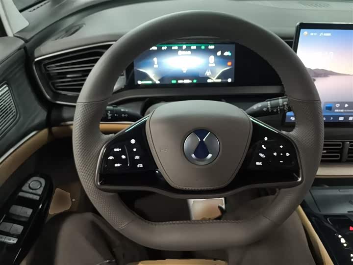 Фото 11 - Denza D9