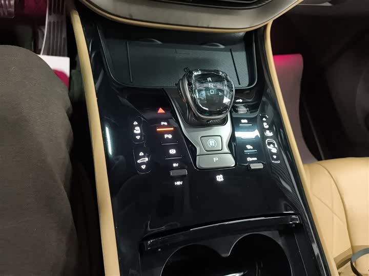 Фото 14 - Denza D9