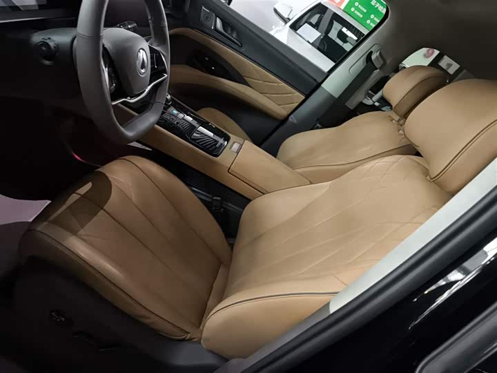 Фото 15 - Denza D9