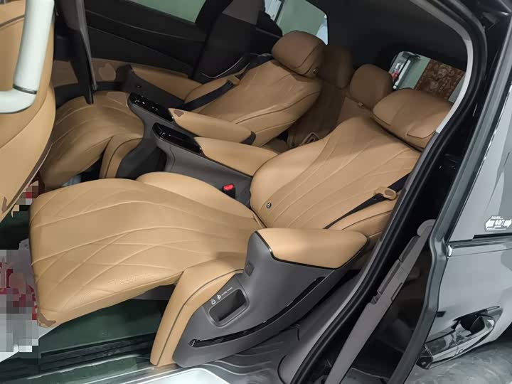 Фото 17 - Denza D9