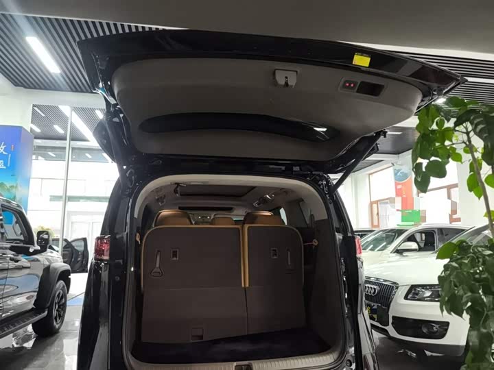 Фото 19 - Denza D9