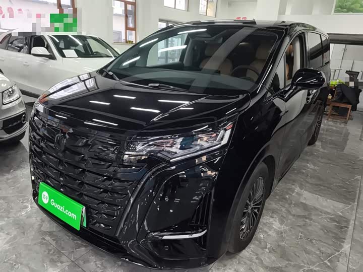 Фото 2 - Denza D9