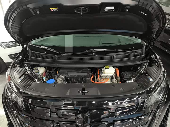 Фото 20 - Denza D9