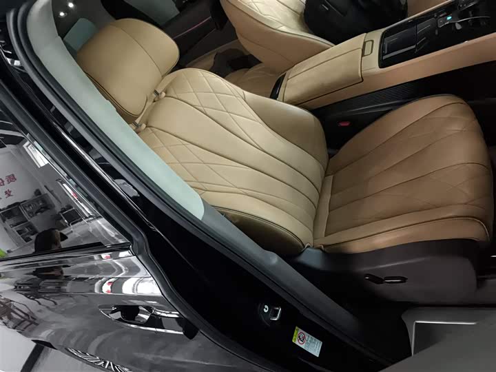 Фото 25 - Denza D9