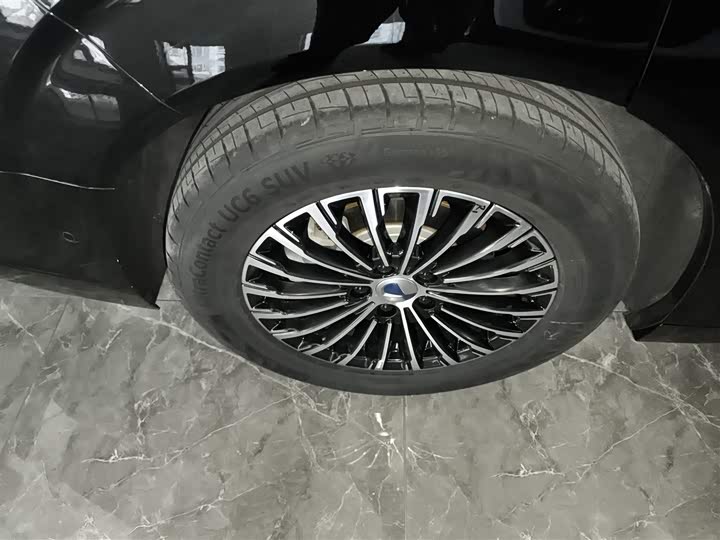 Фото 26 - Denza D9