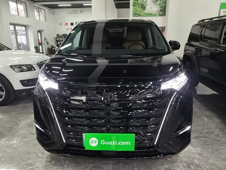 Фото 3 - Denza D9