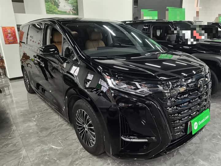 Фото 4 - Denza D9