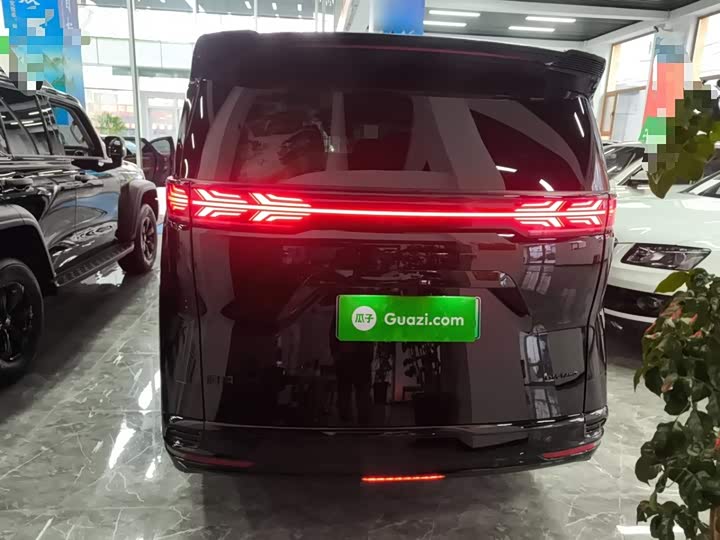 Фото 6 - Denza D9