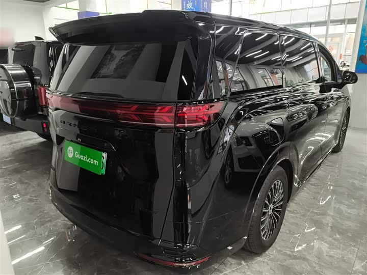 Фото 7 - Denza D9