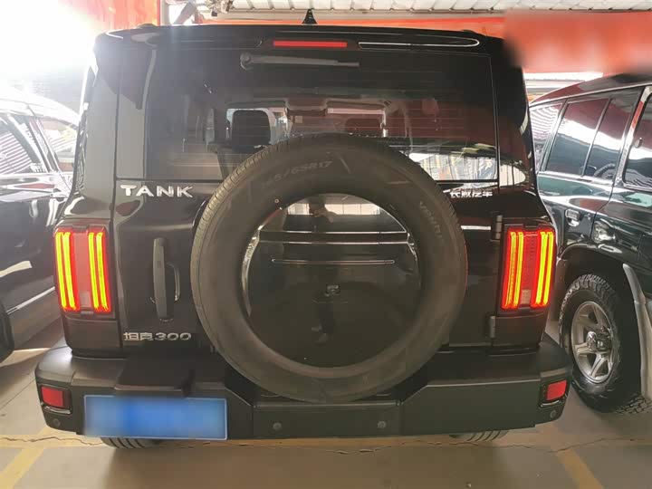 Фото 6 - Tank 300