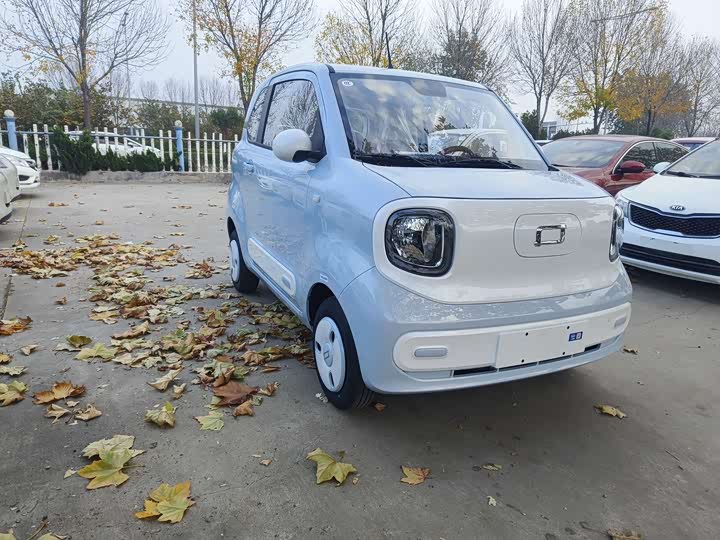 Фото 3 - Bestune Pony