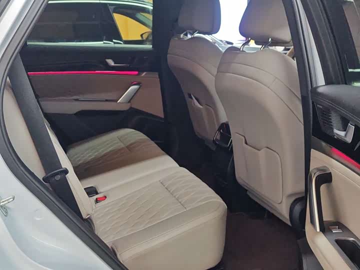 Фото 3 - BYD Tang Hybrid/EV