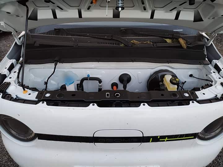 Фото 20 - Geely Galaxy Panda Mini