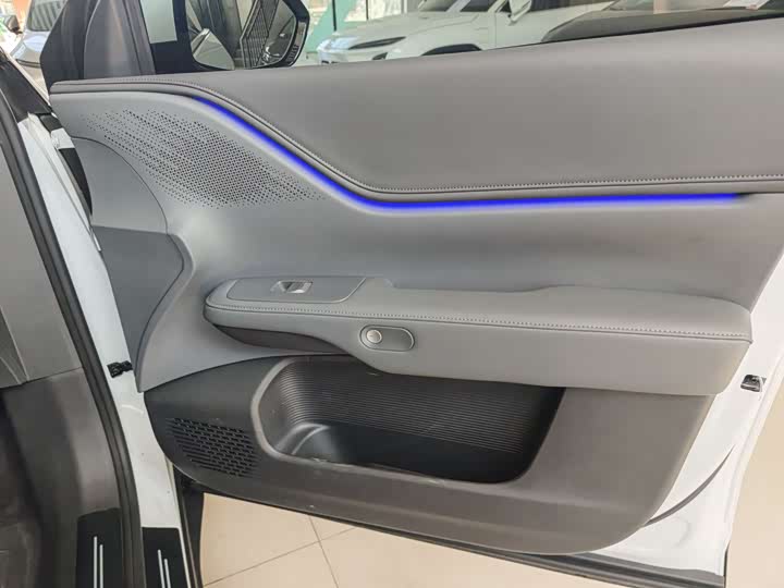 Фото 13 - XPeng G6