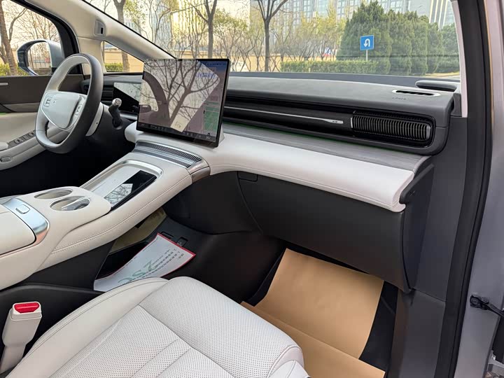 Фото 9 - XPeng X9