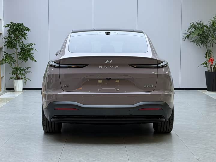 Фото 13 - Nio Onvo L60