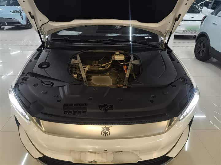 Фото 20 - BYD Qin Plus