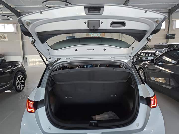 Фото 19 - BYD Dolphin