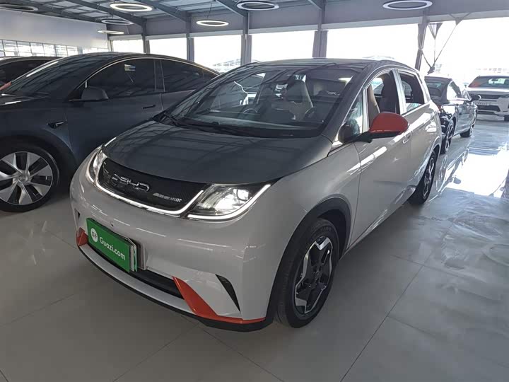 Фото 2 - BYD Dolphin