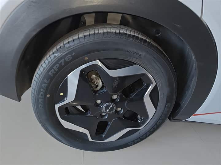 Фото 26 - BYD Dolphin