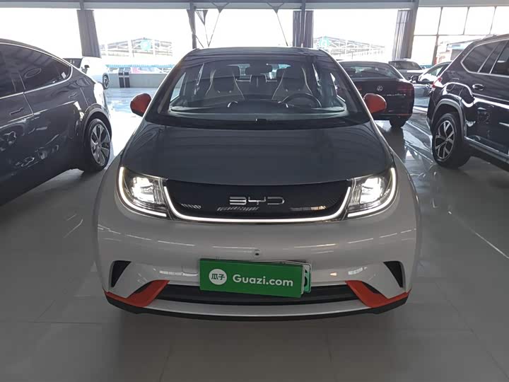 Фото 3 - BYD Dolphin