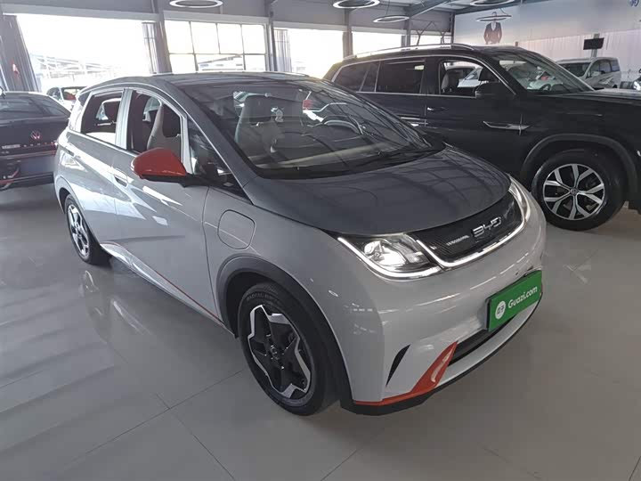 Фото 4 - BYD Dolphin
