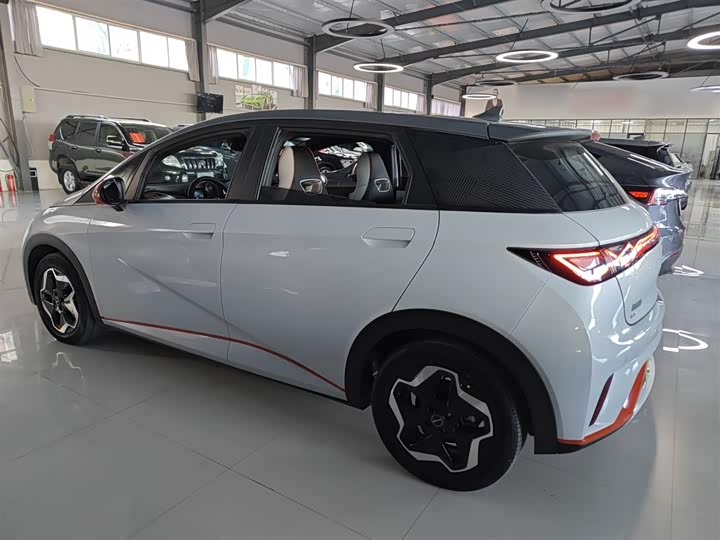 Фото 5 - BYD Dolphin