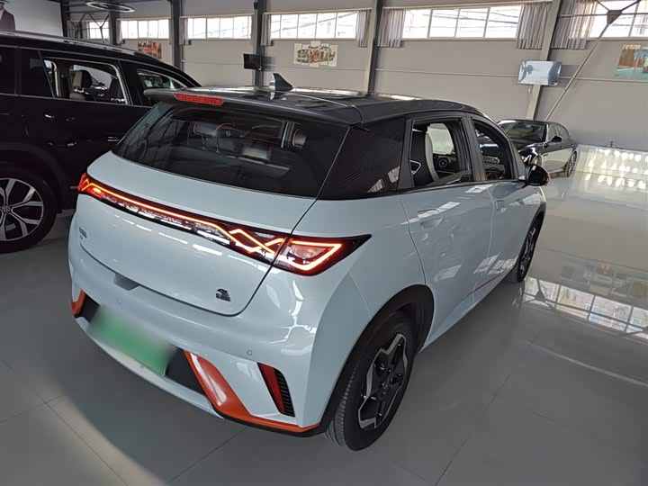 Фото 7 - BYD Dolphin