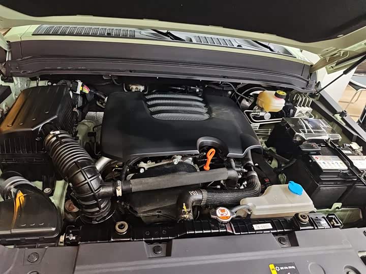 Фото 20 - Tank 300