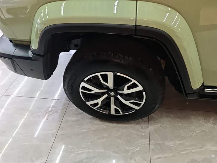 Фото 25 - Tank 300