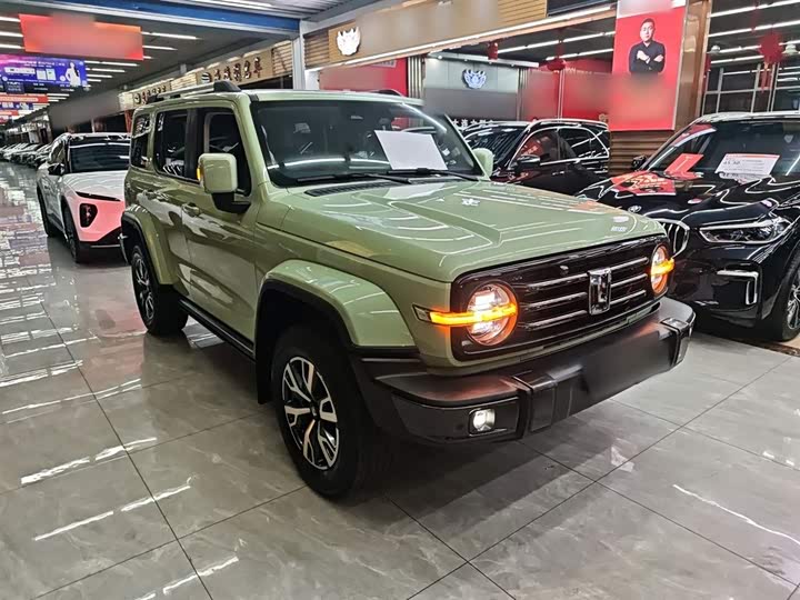 Фото 4 - Tank 300