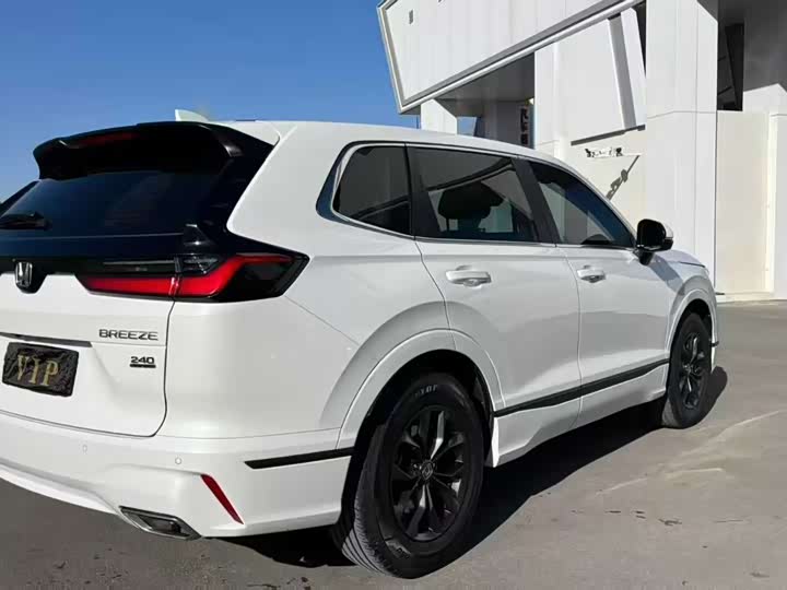 Фото 7 - Honda Breeze