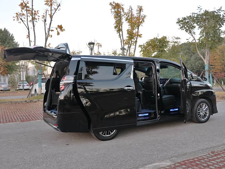 Фото 12 - Toyota Vellfire