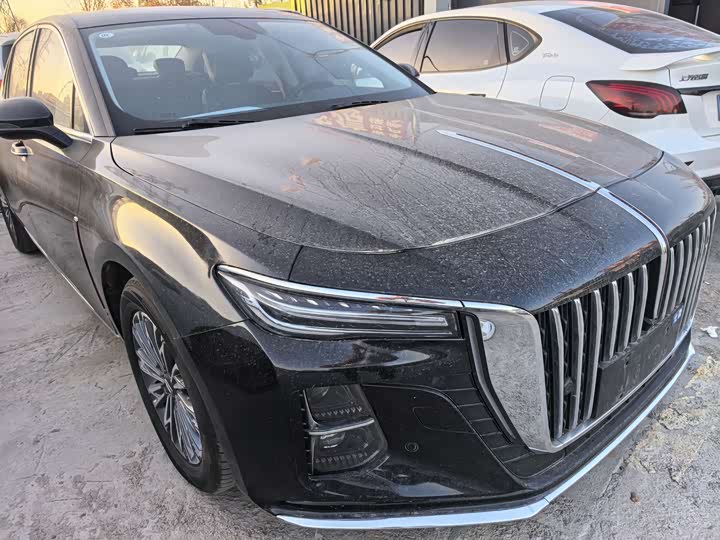 Фото 3 - Hongqi H5