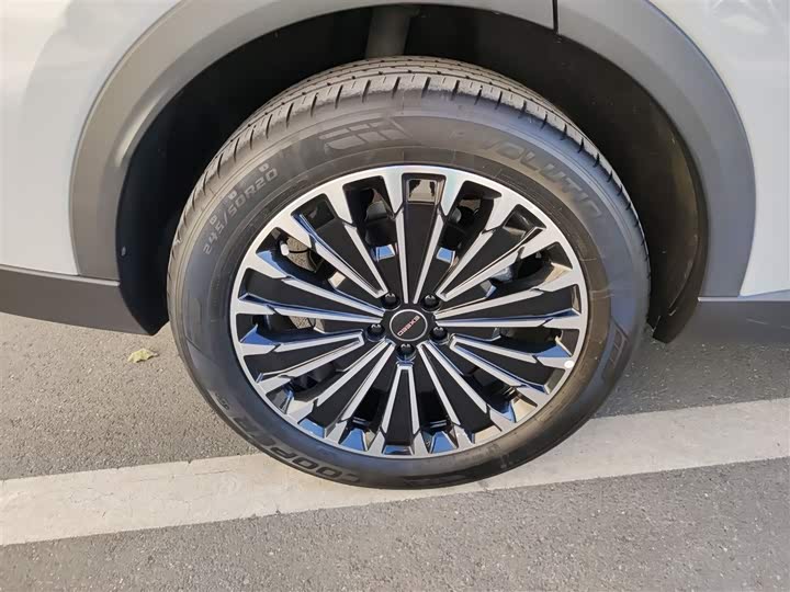 Фото 26 - Exeed RX C-DM Hybrid