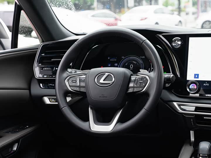 Фото 14 - Lexus RX