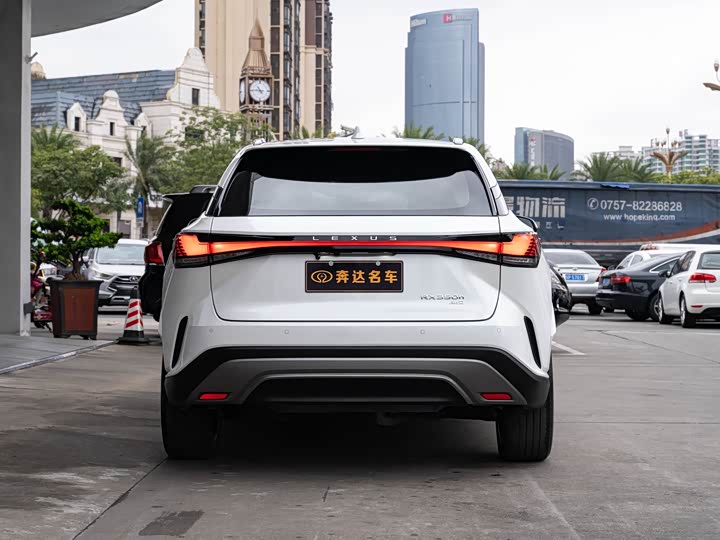 Фото 5 - Lexus RX