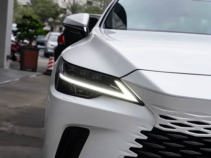 Фото 6 - Lexus RX