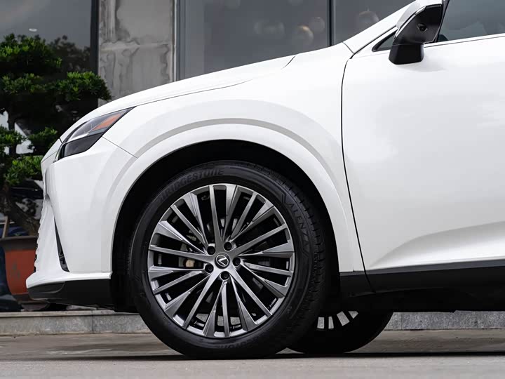 Фото 8 - Lexus RX