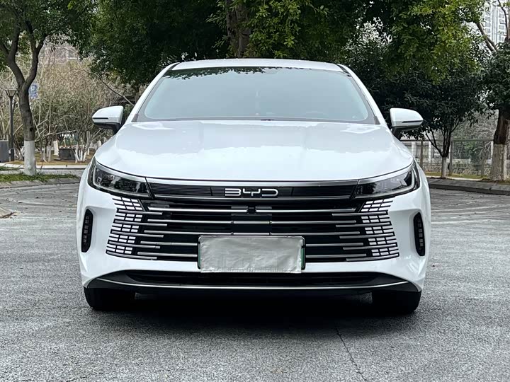 Фото 2 - BYD Destroyer 05