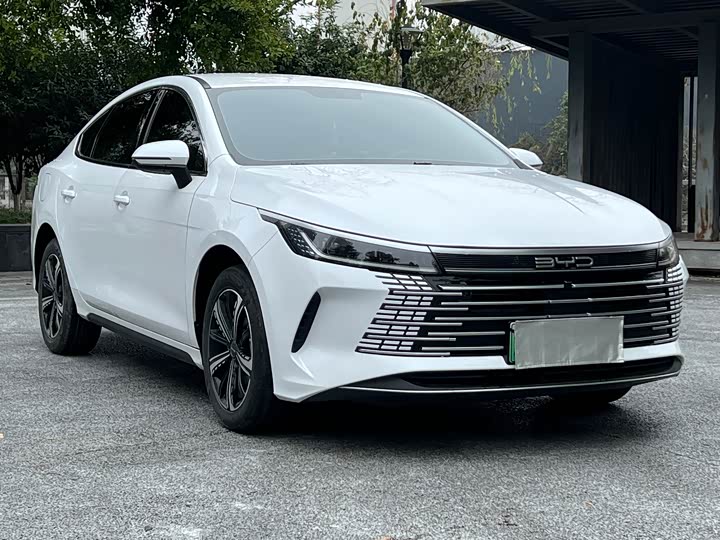 Фото 3 - BYD Destroyer 05