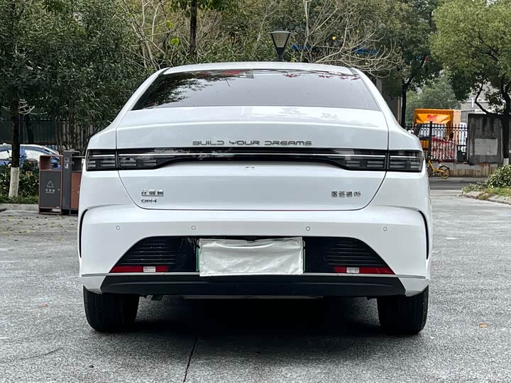 Фото 4 - BYD Destroyer 05