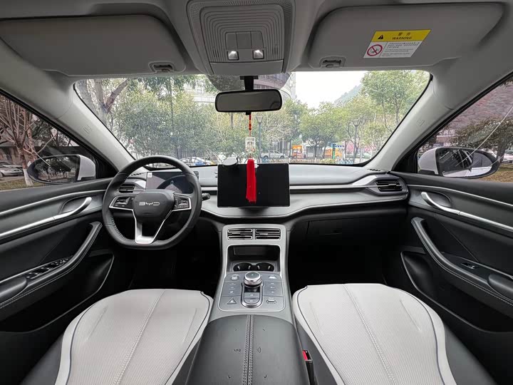 Фото 5 - BYD Destroyer 05