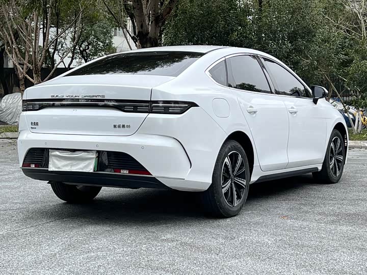 Фото 8 - BYD Destroyer 05