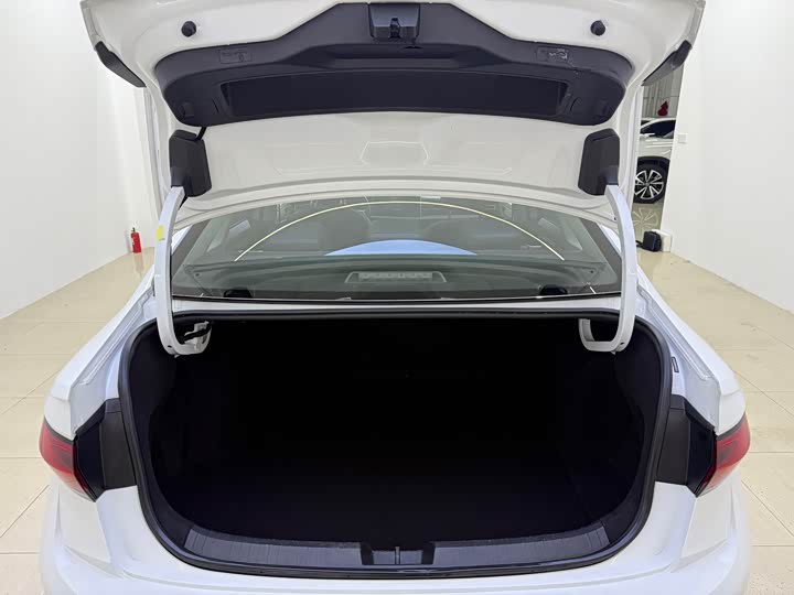 Фото 18 - Volkswagen Sagitar L