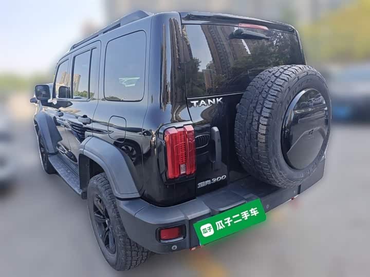 Фото 27 - Tank 300