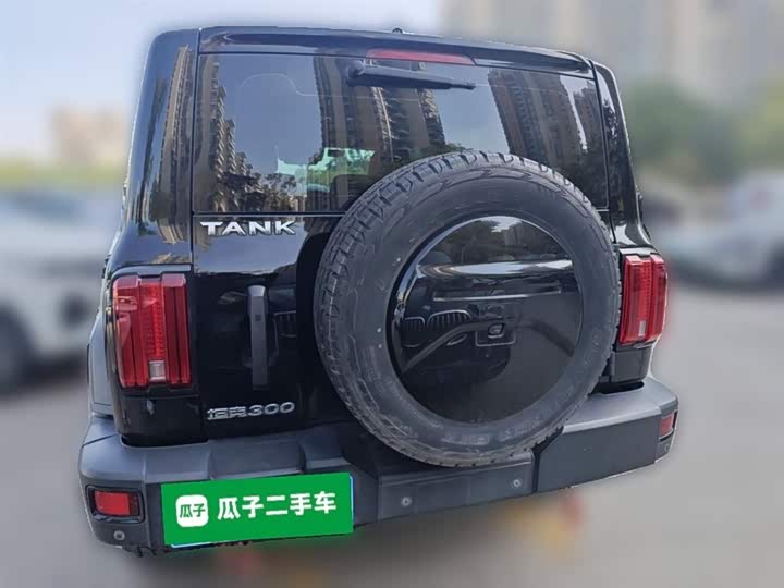 Фото 28 - Tank 300